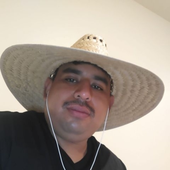 Meet your Posher, Benjamin - Picture 1 of 1